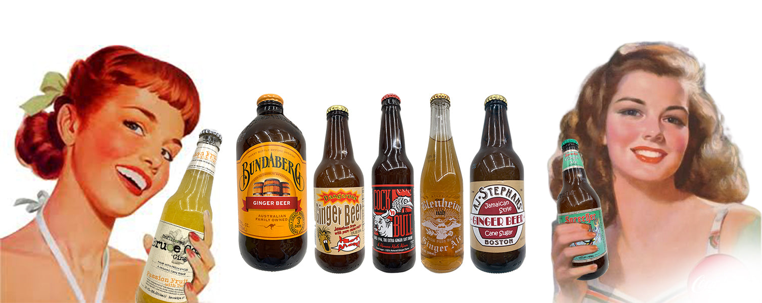 Monthly Subscription Soda Of The Month Ginger Beer / Soda